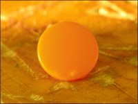 oranssi
